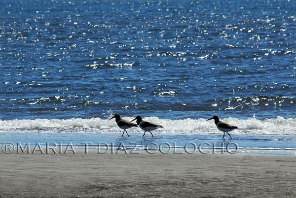 Foto: Conozca El Salvador