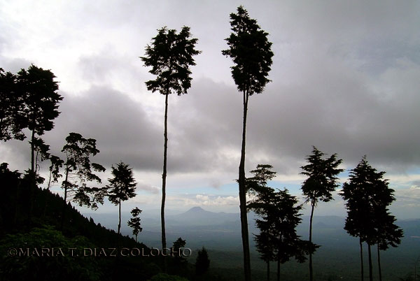 Foto: Conozca El Salvador